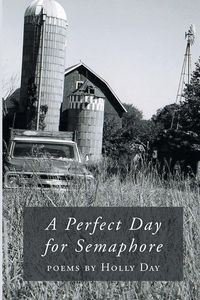 Produktbild: A Perfect Day for Semaphore