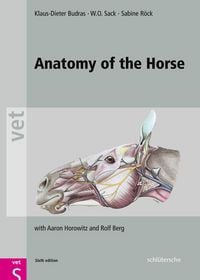 Produktbild: Anatomy of the Horse