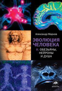Produktbild: Evolyutsiya cheloveka. Kn. 2. Obezyany, neyrony i dusha