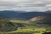 Produktbild: Finlay, A: Gathering: A Place Aware Guide to the Cairngorms