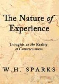 Produktbild: The Nature of Experience