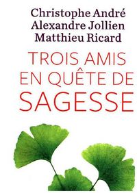 Produktbild: Trois amis en qu&ecirc;te de sagesse