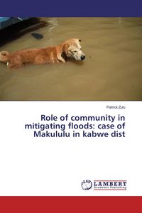 Produktbild: Role of community in mitigating floods: case of Makululu in kabwe dist