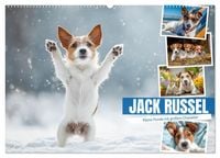 Produktbild: JACK RUSSEL - Kleine Hunde mit gro&szlig;em Charakter (Wandkalender 2026 DIN A2 quer), CALVENDO Monatskalender