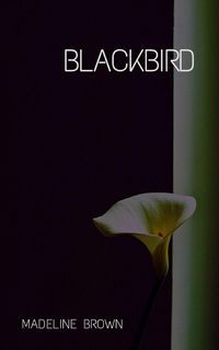 Produktbild: Blackbird