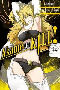 Produktbild: Akame ga KILL!, Vol. 12