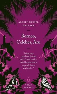 Bild vom Artikel Borneo, Celebes, Aru vom Autor Alfred Russel Wallace