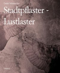 Produktbild: Stadtpflaster - Lustlaster
