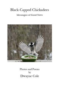 Produktbild: Black-Capped Chickadees