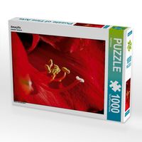 Produktbild: CALVENDO Puzzle Amaryllis | 1000 Teile Lege-Gr&ouml;&szlig;e 64x48cm Foto-Puzzle f&uuml;r gl&uuml;ckliche Stunden