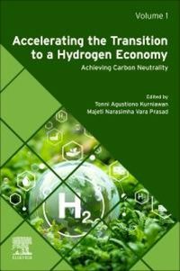 Produktbild: Accelerating the Transition to a Hydrogen Economy