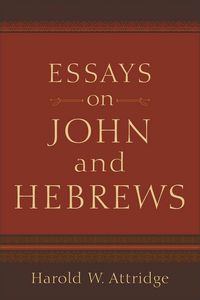 Produktbild: Essays On John & Hebrews