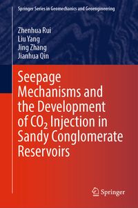 Produktbild: Seepage Mechanisms and the Development of CO₂ Injection in Sandy Conglomerate Reservoirs