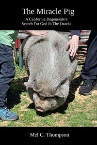 Produktbild: The Miracle Pig