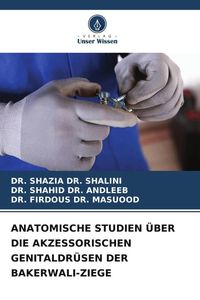 Produktbild: Anatomische Studien &uuml;ber die Akzessorischen Genitaldr&uuml;sen der Bakerwali-Ziege