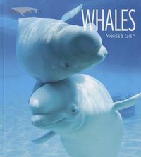 Produktbild: Whales