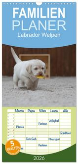 Produktbild: Familienplaner 2026 - Labrador Welpen mit 5 Spalten (Wandkalender, 21 x 45 cm) CALVENDO