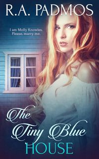 Produktbild: The Tiny Blue House