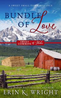 Produktbild: Bundle of Love: A Small Town Office Sweet Romance (Sweet Cowboys of Idaho, #7)