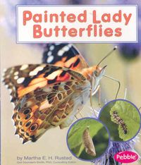 Produktbild: Painted Lady Butterflies