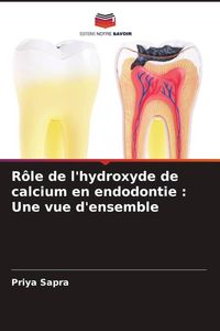 Produktbild: R&ocirc;le de l'hydroxyde de calcium en endodontie : Une vue d'ensemble