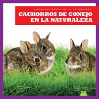 Produktbild: Cachorros de Conejo En La Naturaleza (Rabbit Kits in the Wild)