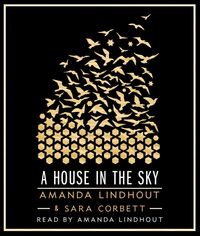 Produktbild: HOUSE IN THE SKY           11D