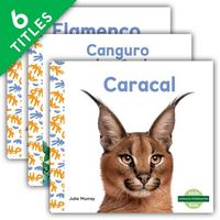 Produktbild: Animales interesantes (Interesting Animals) (Set)