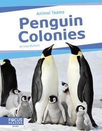 Produktbild: Penguin Colonies