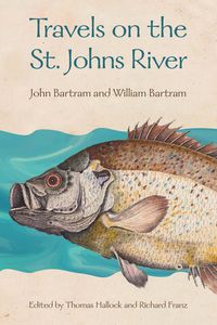 Produktbild: Travels on the St. Johns River