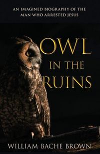 Produktbild: Owl in the Ruins