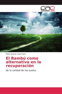 Produktbild: El Bamb&uacute; como alternativa en la recuperaci&oacute;n