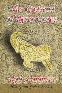 Produktbild: The Godsend of River Grove (Hila Grant, #1)