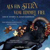 Produktbild: Als ein Stern vom Himmel fiel
