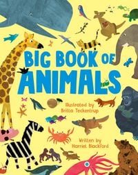 Produktbild: Big Book of Animals