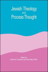 Produktbild: Jewish Theology and Process Thought