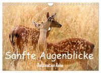 Produktbild: Sanfte Augenblicke, Faszination Rehe (Wandkalender 2027 DIN A4 quer), CALVENDO Monatskalender