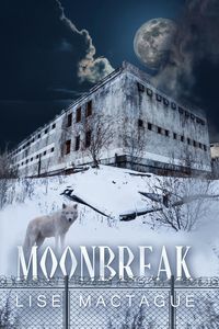 Produktbild: Moonbreak