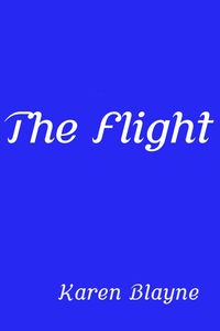 Produktbild: The Flight