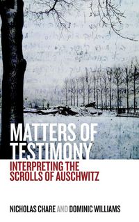 Produktbild: Matters of Testimony