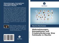 Produktbild: Wahrnehmungen, Konzeptionen und Friedensf&ouml;rderung: Eine Fallstudie in Mexiko