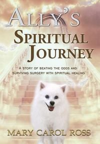 Produktbild: Ally's Spiritual Journey