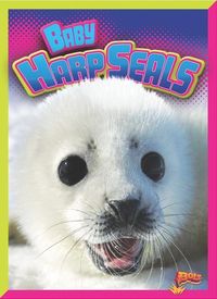 Produktbild: Baby Harp Seals