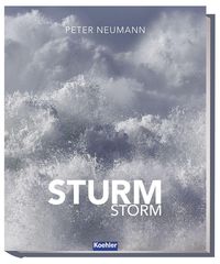 Bild vom Artikel Sturm - Storm vom Autor Peter Neumann