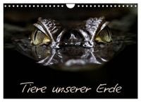 Produktbild: Tiere unserer Erde (Wandkalender 2027 DIN A4 quer), CALVENDO Monatskalender