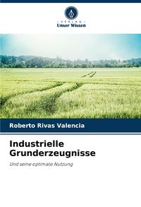 Produktbild: Industrielle Grunderzeugnisse