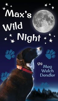 Produktbild: Max's Wild Night