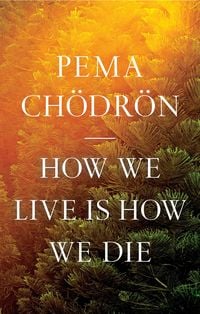 Produktbild: How We Live Is How We Die