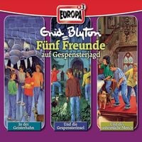 Produktbild: 3er-Box: F&uuml;nf Freunde auf Gespensterjagd