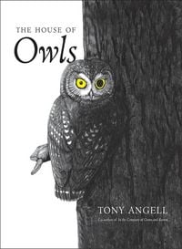 Produktbild: The House of Owls
